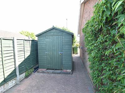 Picture 19